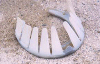 アダプターパッド