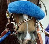 シャドーロール